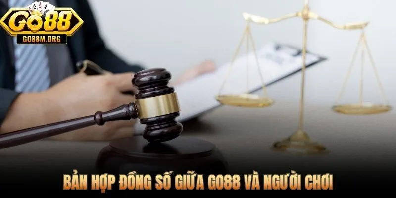 Điều khoản điều kiện ràng buộc pháp lý giữa nền tảng và người chơi