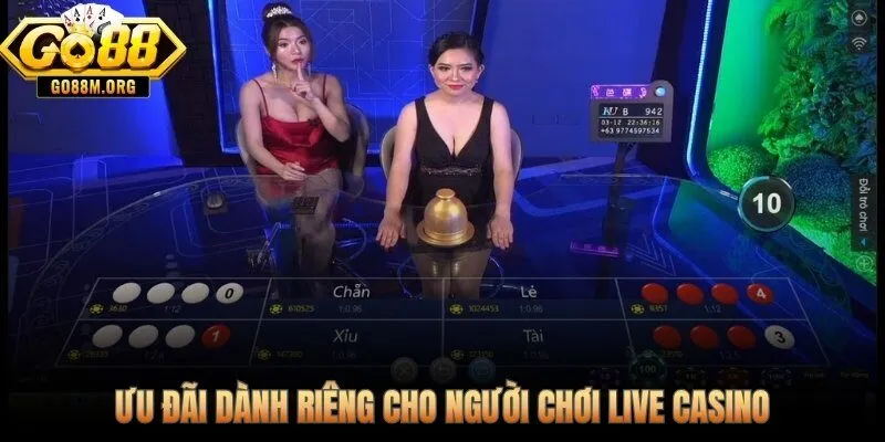 Cashback và thưởng tân thủ dành riêng cho sảnh Live Casino